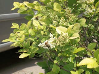 100_3834.jpg