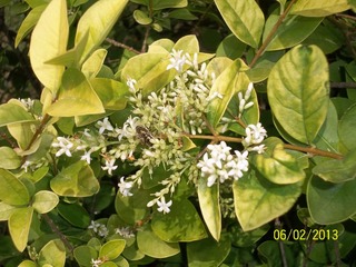 100_3835.jpg