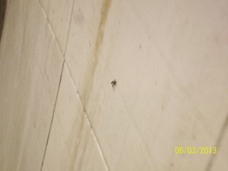 100_3898.jpg