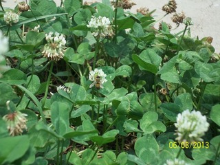 100_3906.jpg