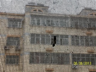 100_3970.jpg
