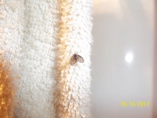 100_4413.jpg