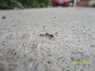 100_6547.jpg