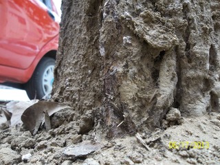 100_4472.jpg