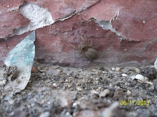100_4463.jpg