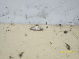 100_4448.jpg