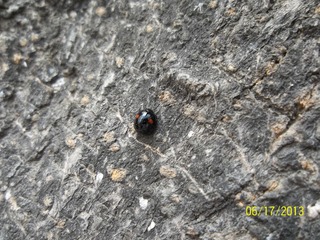 100_4430.jpg