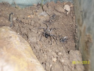 100_4245.jpg