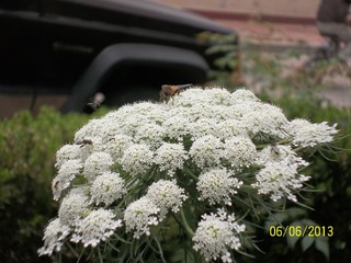 100_3996.jpg