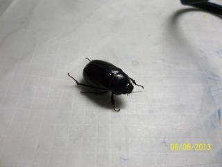 100_4016.jpg