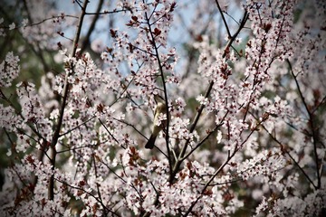 0B23B6E1-DF57-4075-BE1F-5504AE33C833/L0/001