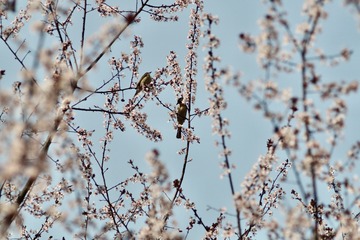 5678980D-73CC-4BB3-8F3B-EE32D3D23EF1/L0/001