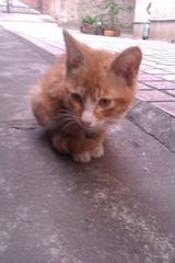 IMAG0281.jpg
