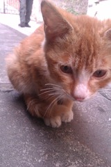 IMAG0282.jpg