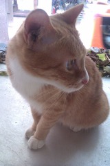 IMAG0628.jpg