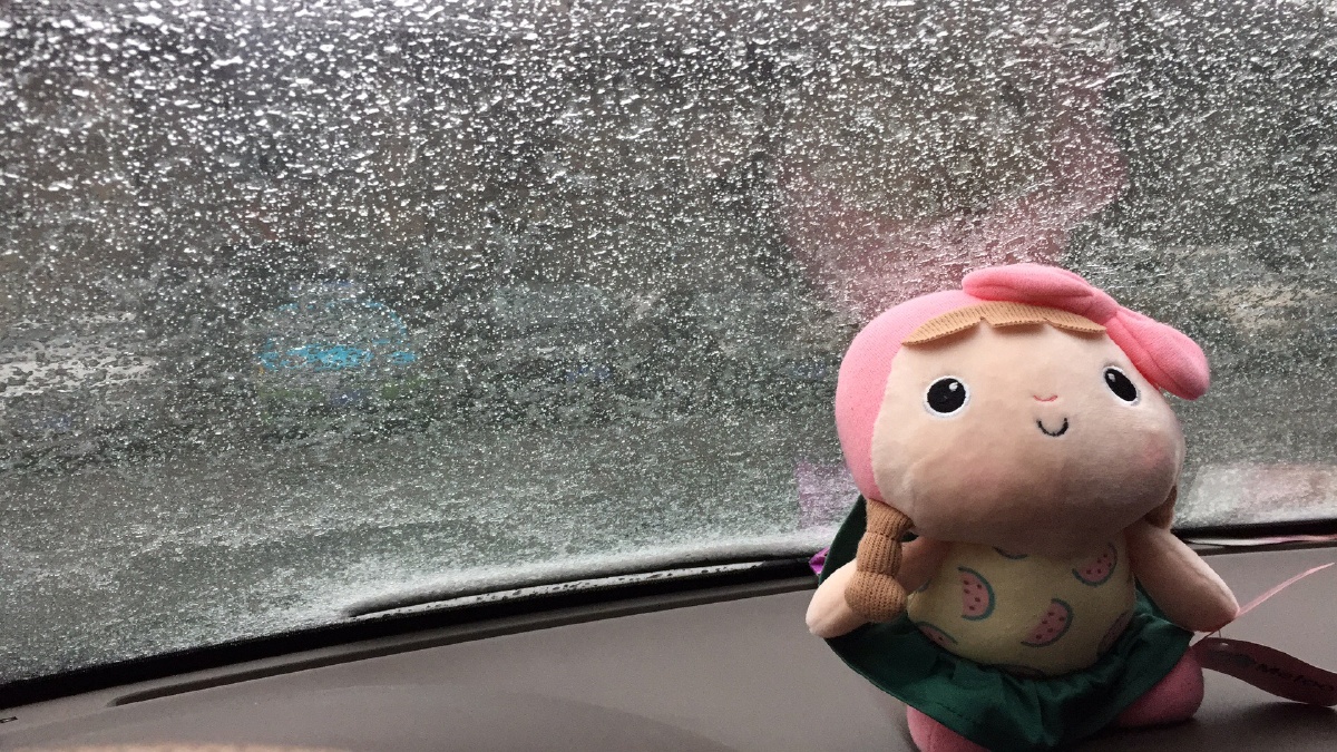 梦到自己家漏雨,财运与健康之路