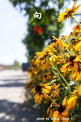 _MG_8109-4.jpg