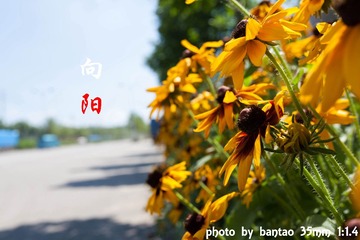_MG_8111-5.jpg