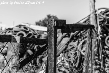 _MG_8149-12.jpg