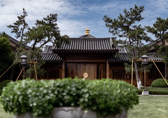 DSC04382