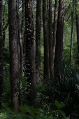 DSC04364