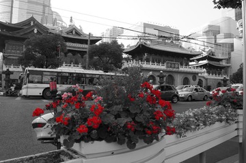 DSC01797.JPG