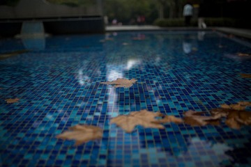 ZPFG__fallen_leaves2_5760__