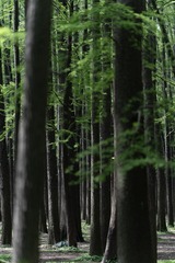DSC04301