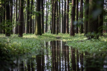 _DSC3454
