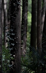 DSC04363