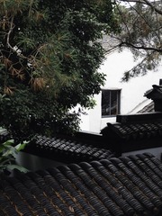 IMG_20240607_160758