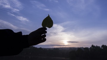 1643656