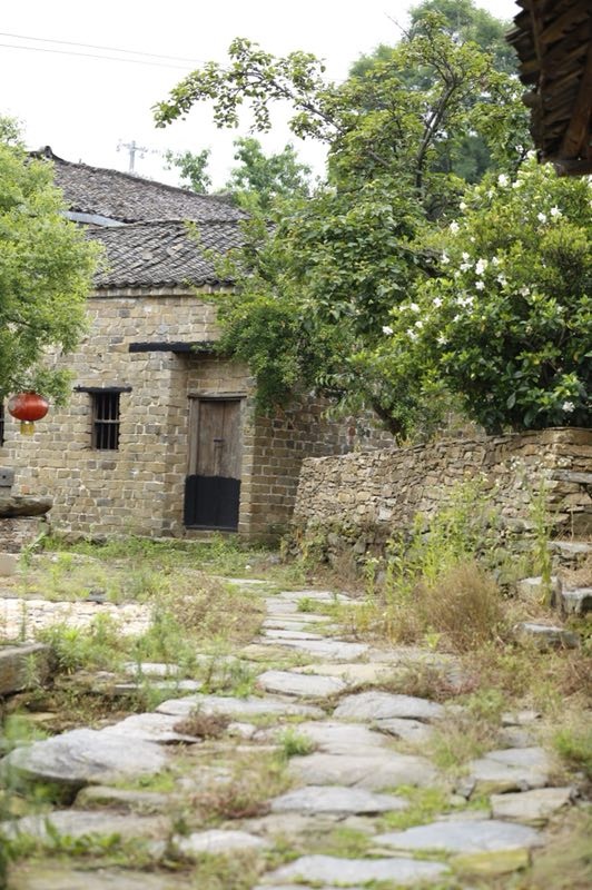 乡村老屋谁在为你守候