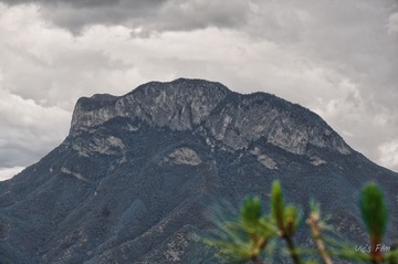 DSC01615_HDR
