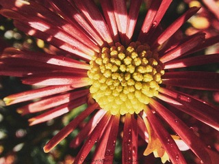 P2070152 拷贝