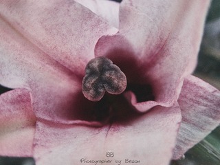 P2070139
