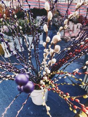 P2070133