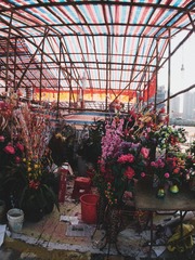 P2070131