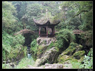 20101003-14成都、青城、峨嵋、九寨 215