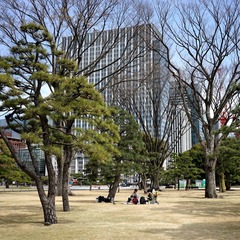 010