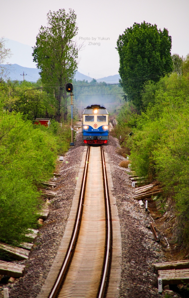 开往春天的火车 - 张雨坤 - 图虫网 - 优质摄影师交流社区