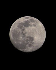B8740772-2C53-4E0C-8A72-3257F17C7854/L0/001