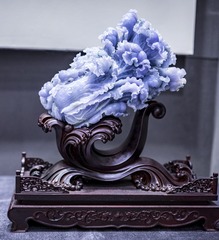 4445022