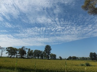 486444