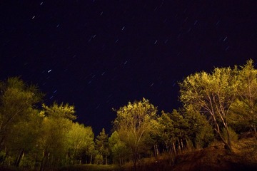 丛林星空
