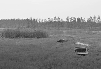 DSC_0235.jpg