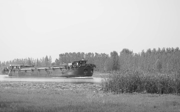 DSC_0242.jpg