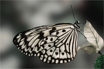 1000151346