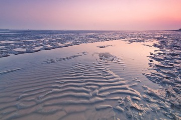 _DSC2738.jpg