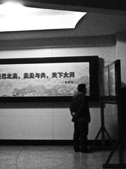 PC029142-34.jpg
